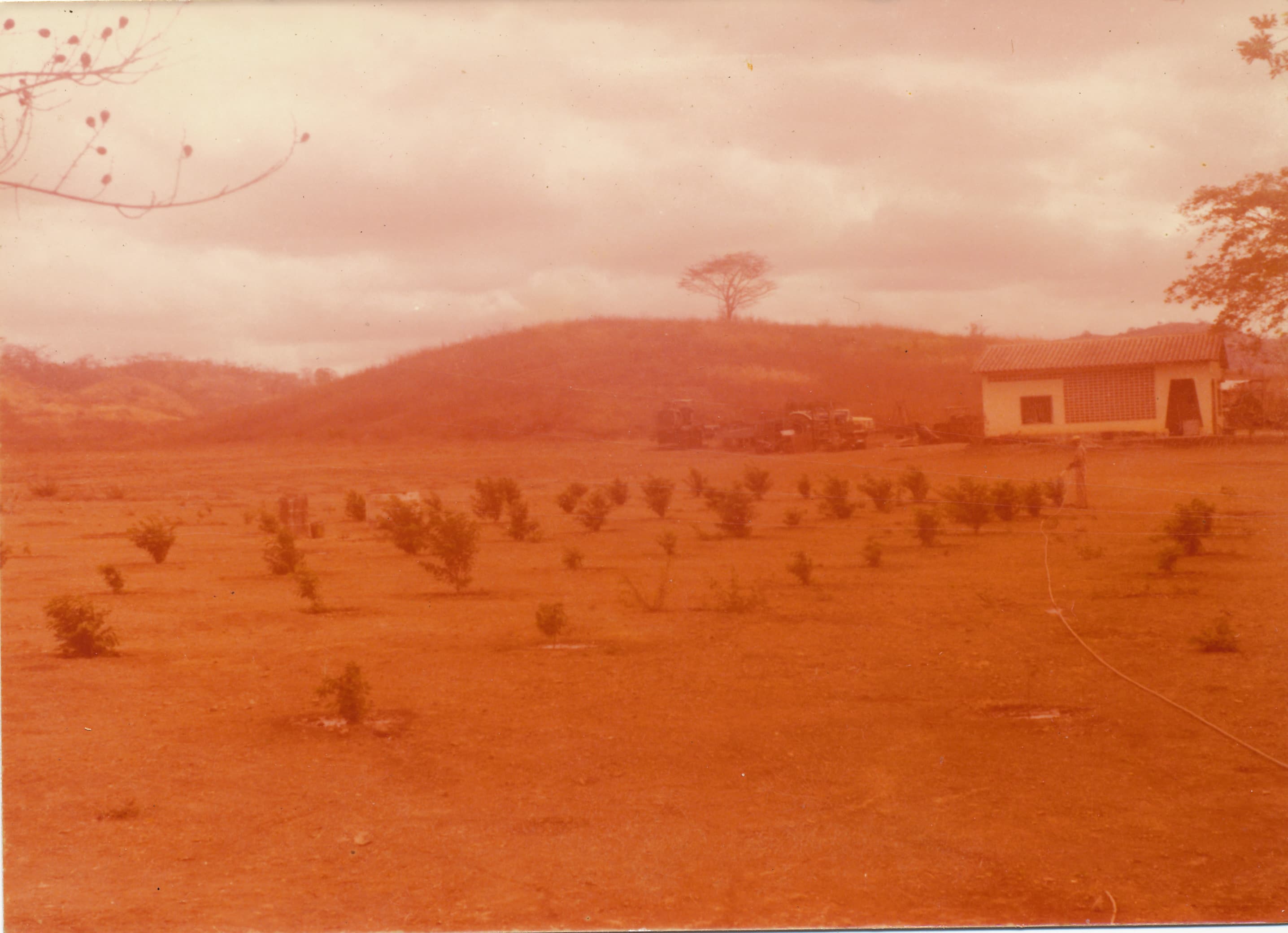Portrait - before restoration